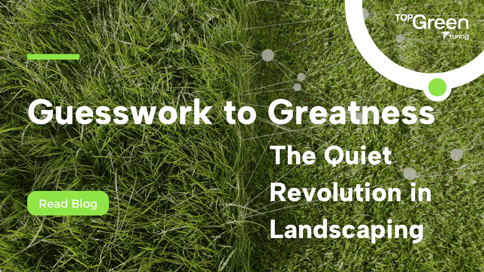 Close view of grass, titled Guesswork to greatness, the quiet revolution in landscaping